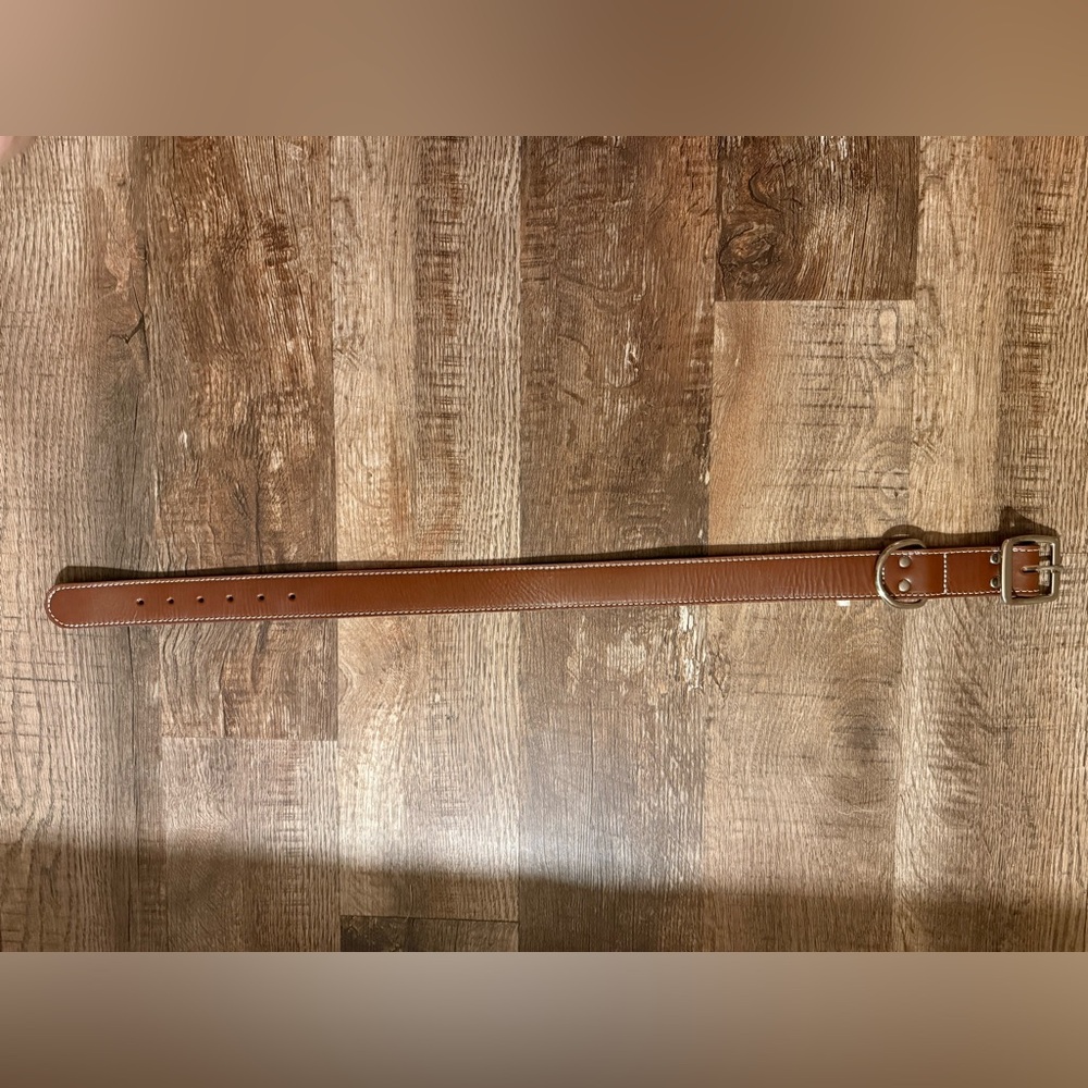 XL leather dog collar from petco